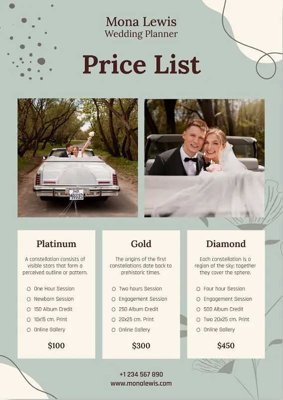 Wedding Planner Flyers 231